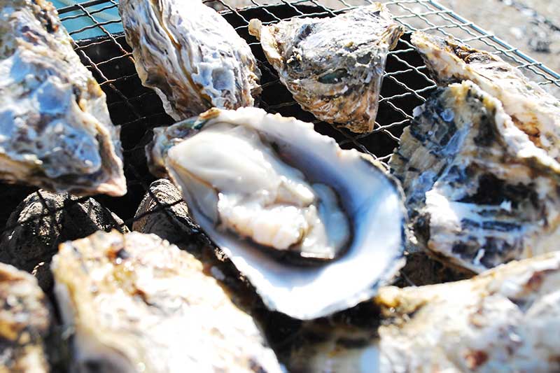 殻付きで新鮮！