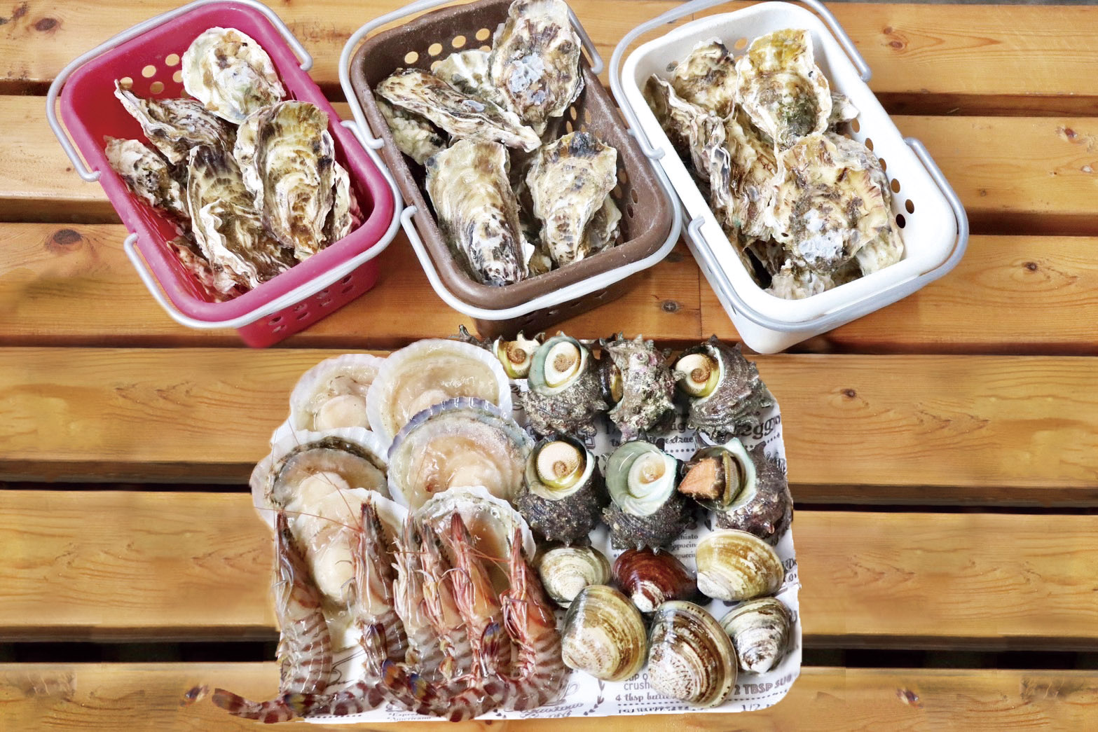 冨士丸セット 竹