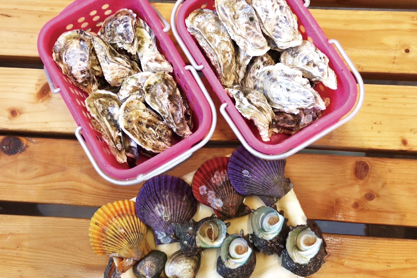 冨士丸セット 竹