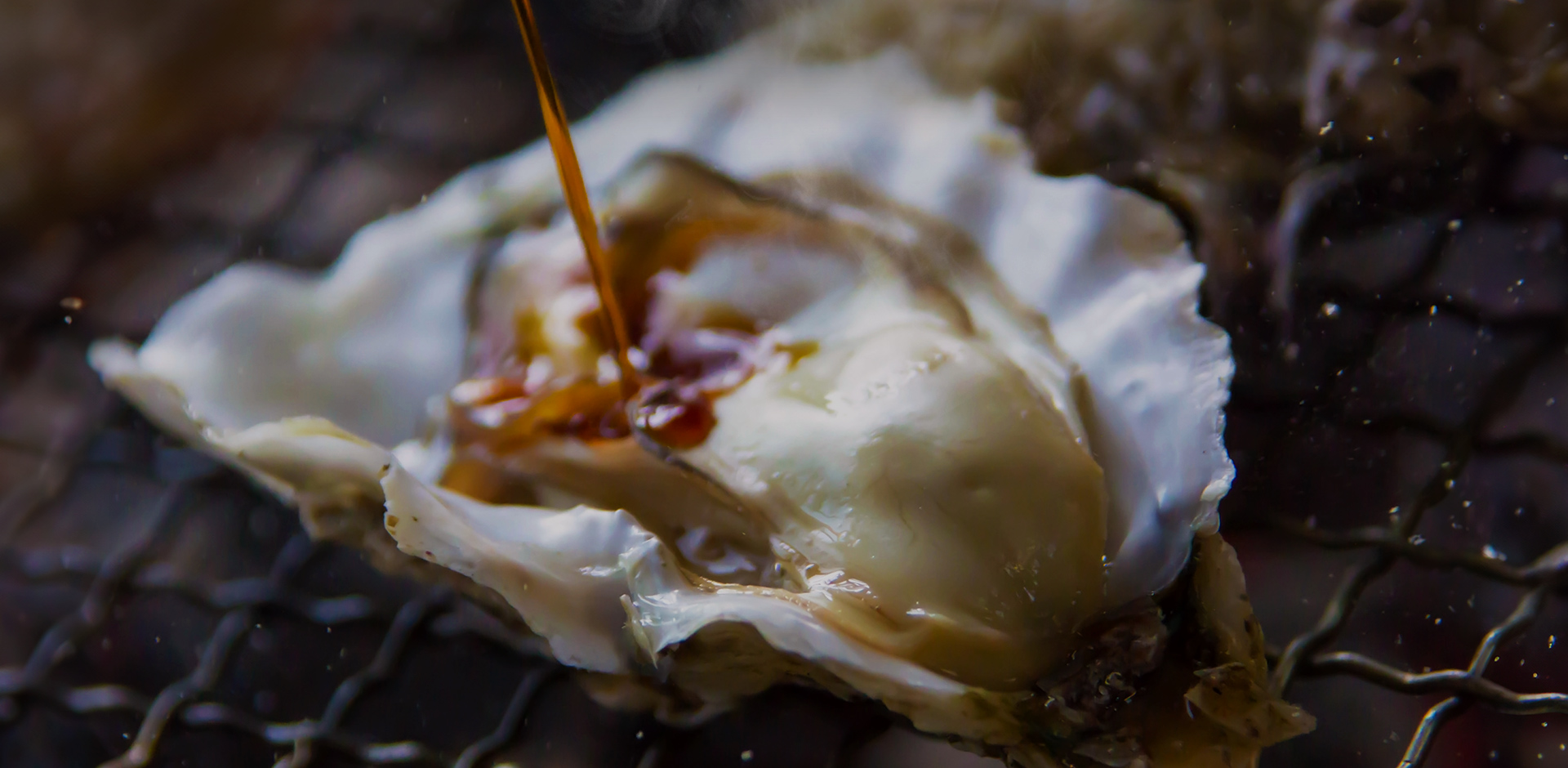 牡蠣の美味しさ、丸ごと堪能。