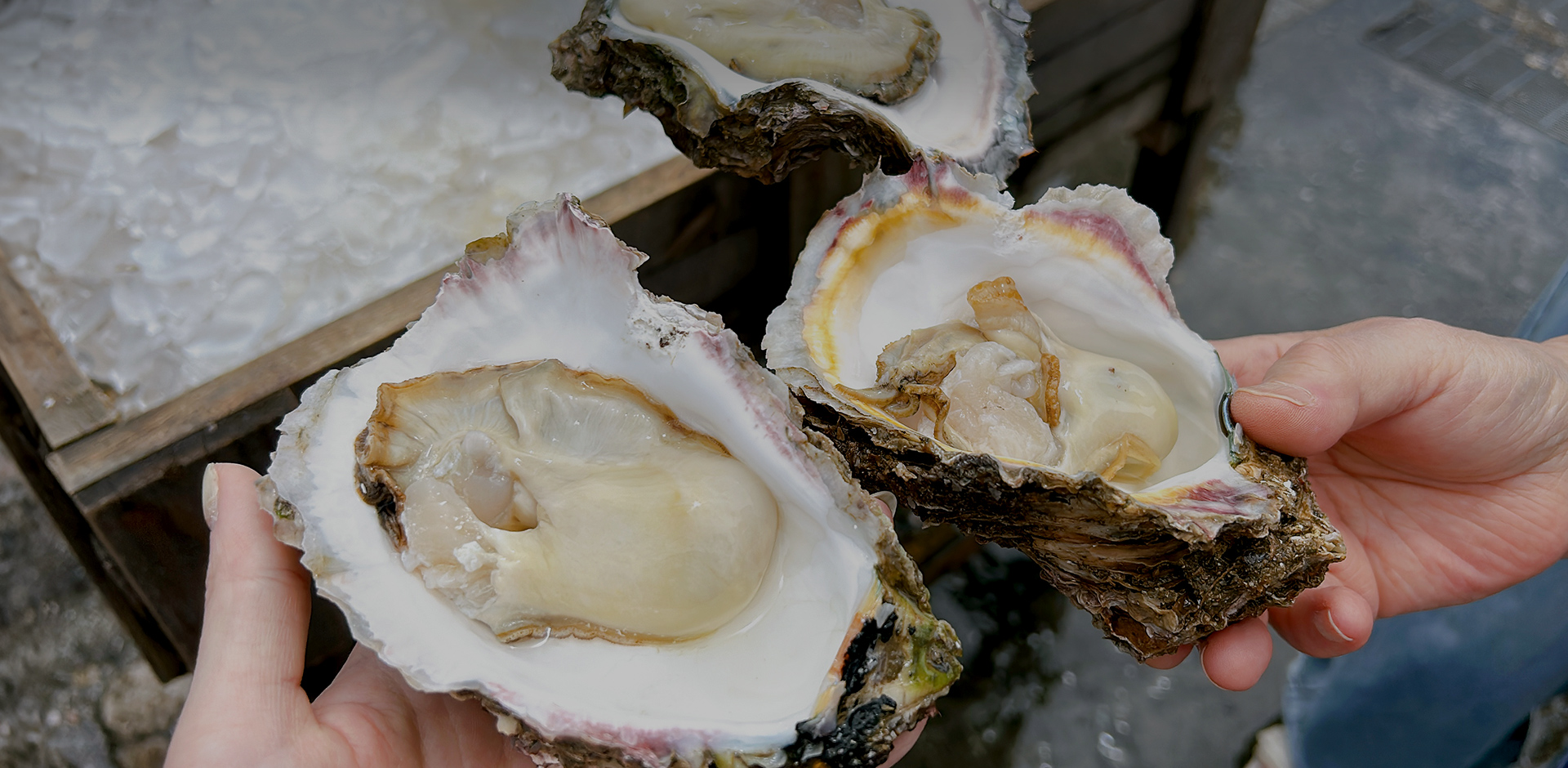 牡蠣の美味しさ、丸ごと堪能。
