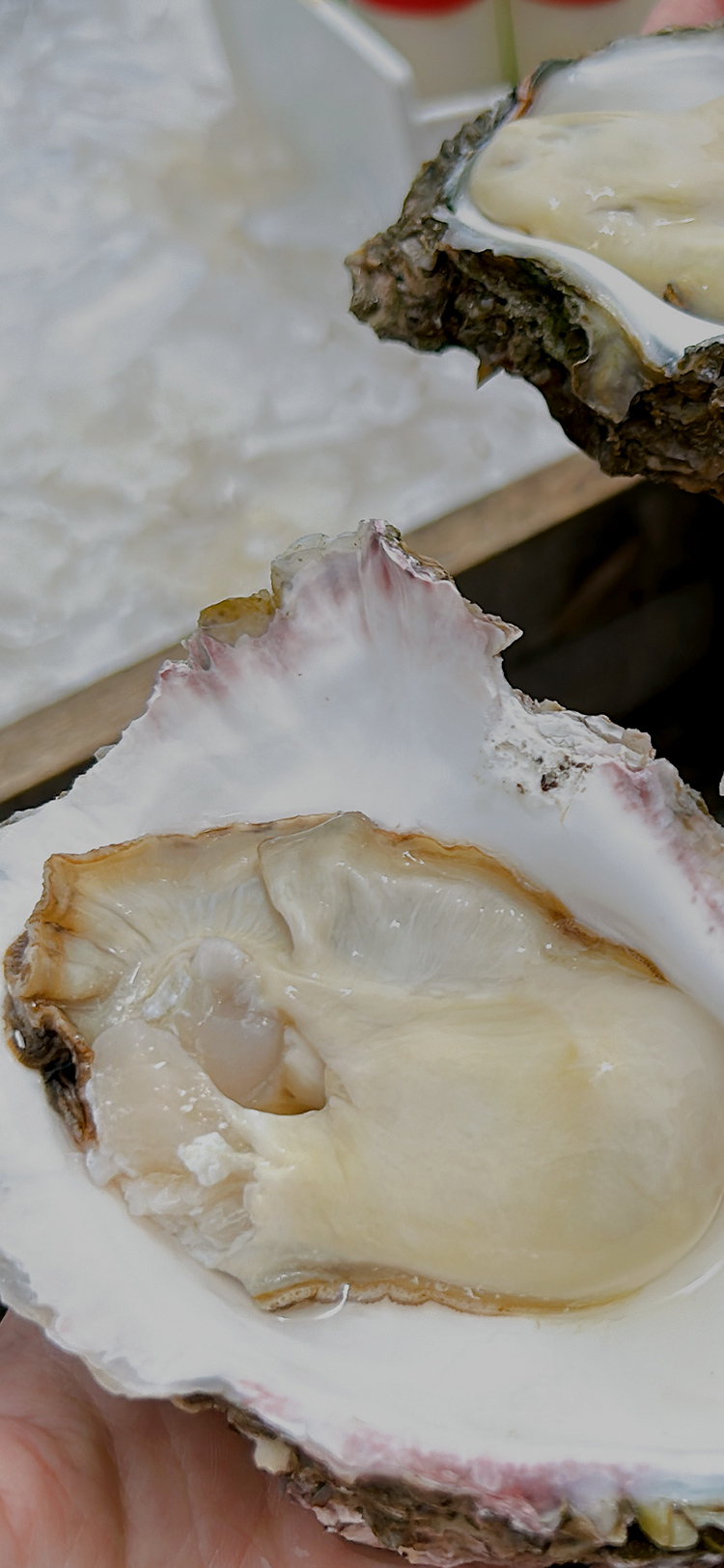 牡蠣の美味しさ、丸ごと堪能。