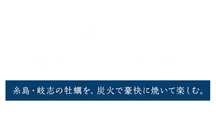 毎日が獲れたて、新鮮。